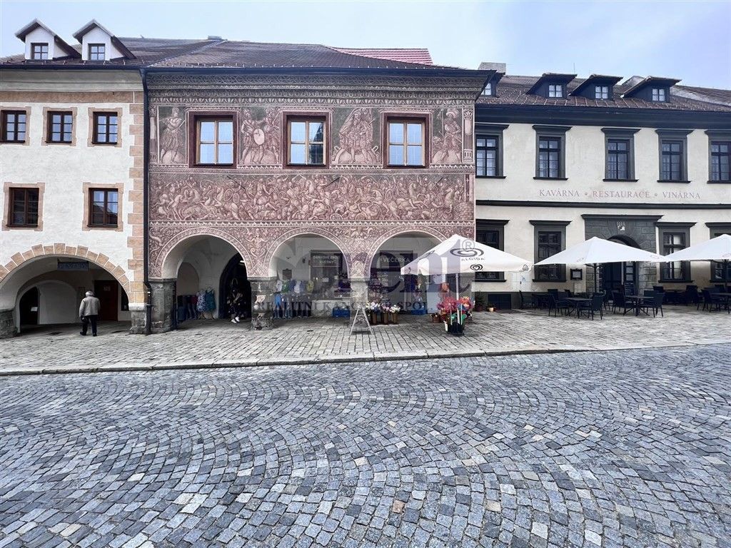 Prodej dům - Velké náměstí, Prachatice I, Česko, 540 m²