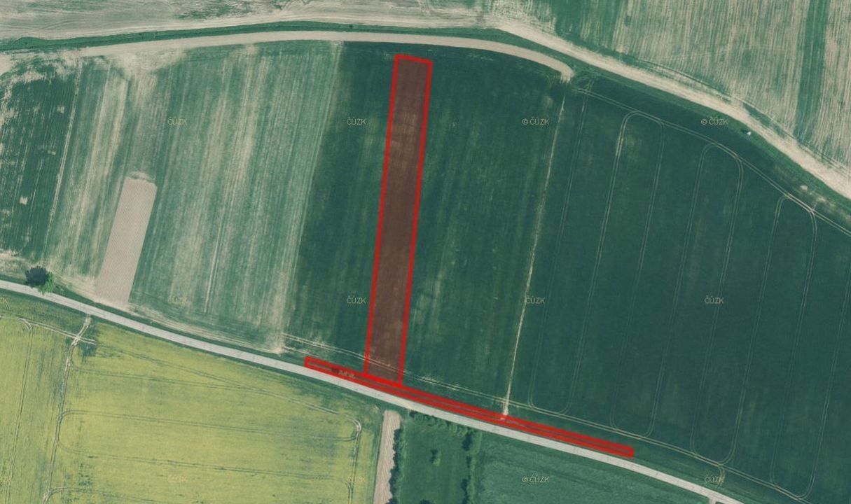 Prodej zemědělský pozemek - Dražíč, 4 916 m²