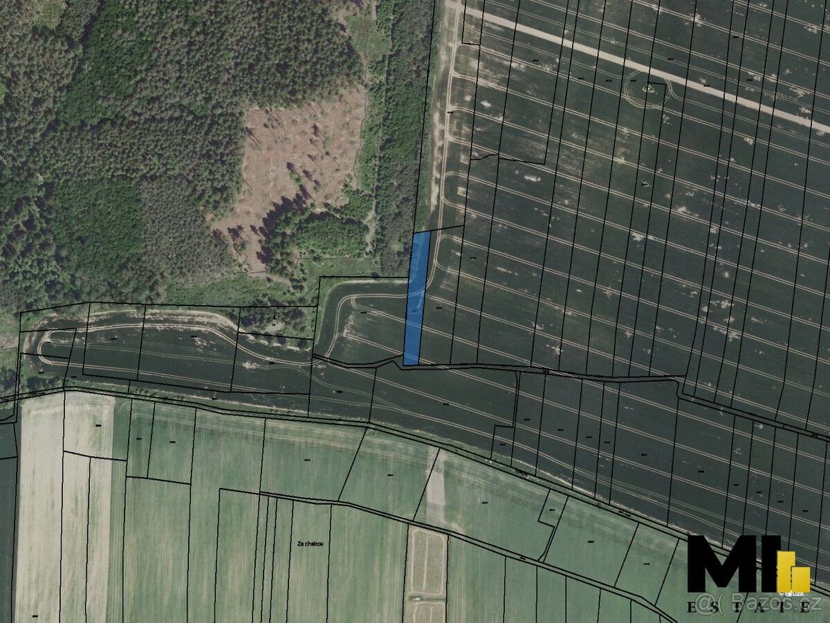 Prodej zemědělský pozemek - Kamenné Žehrovice, 273 01, 253 m²