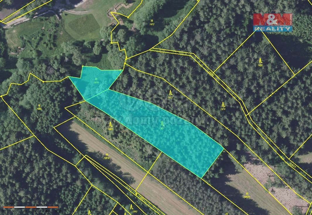 Lesy, Čechtice, 257 65, 11 127 m²