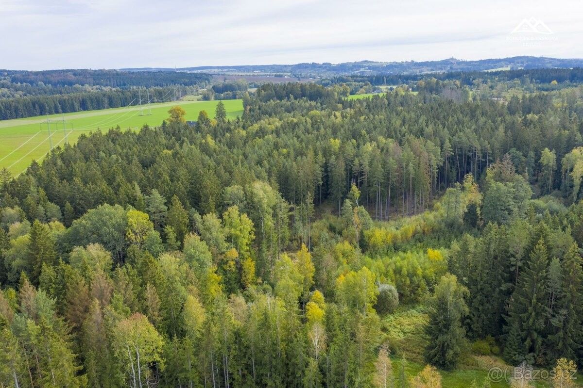 Lesy, Hlinsko v Čechách, 539 01, 2 232 m²