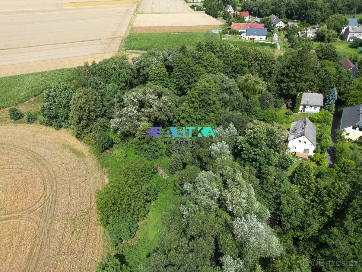 Prodej les - Bernartice u Javorníka, 790 57, 4 082 m²