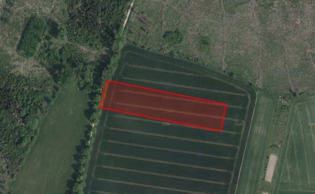 Zemědělské pozemky, Jamné, 10 584 m²
