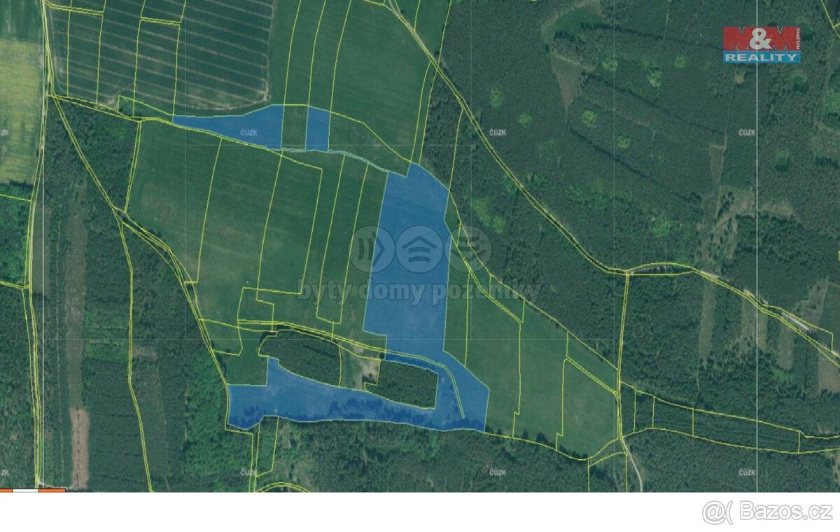 Prodej zemědělský pozemek - Bor u Tachova, 348 02, 81 315 m²