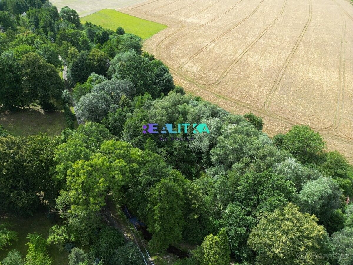 Lesy, Bernartice u Javorníka, 790 57, 4 082 m²