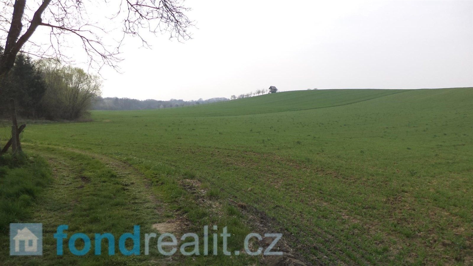 Prodej zemědělský pozemek - Jalubí, 2 376 m²
