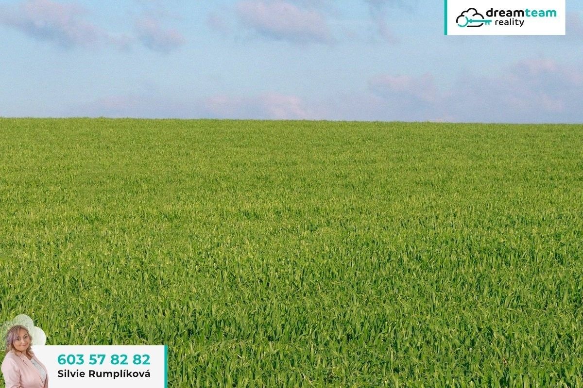 Prodej zemědělský pozemek - Malhotice, 18 017 m²