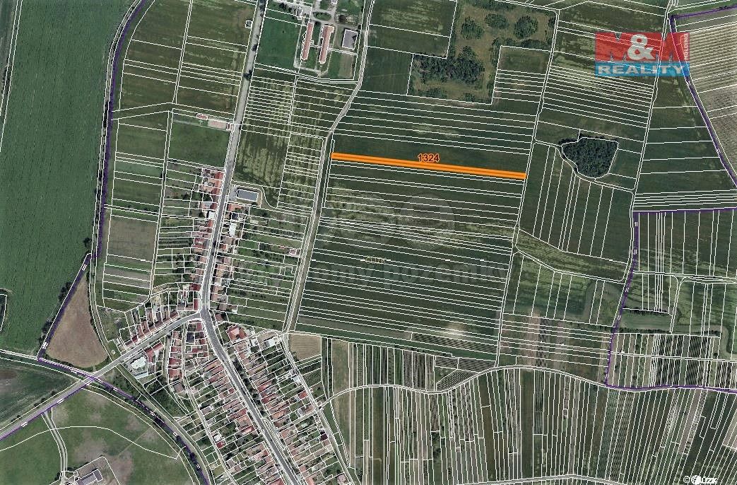 Prodej zemědělský pozemek - Čejč, 696 14, 250 m²