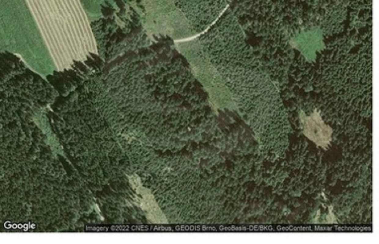Lesy, Těšetiny, Mochtín, 21 256 m²