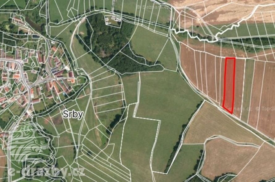 Prodej zemědělský pozemek - Srby, 5 682 m²