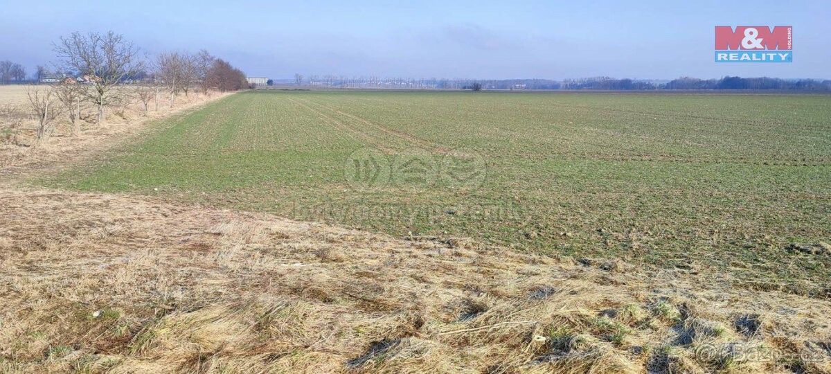 Prodej zemědělský pozemek - Dolní Benešov, 747 22, 6 438 m²