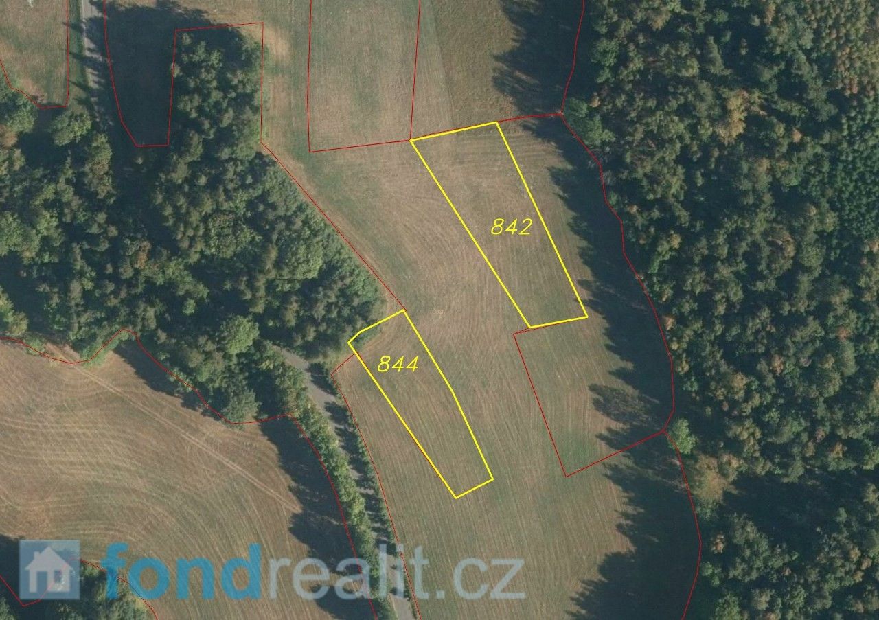 Prodej zemědělský pozemek - Železný Brod, 2 949 m²