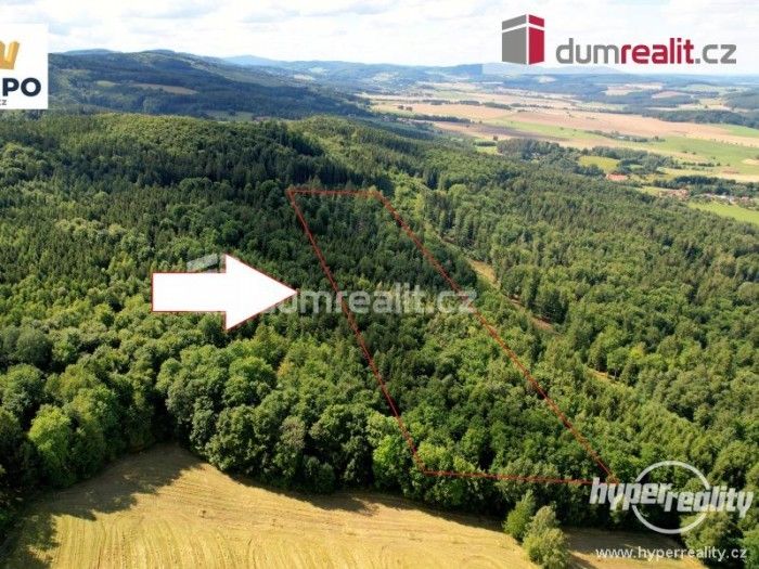 Prodej les - Křemže, Chlum, 11 426 m²