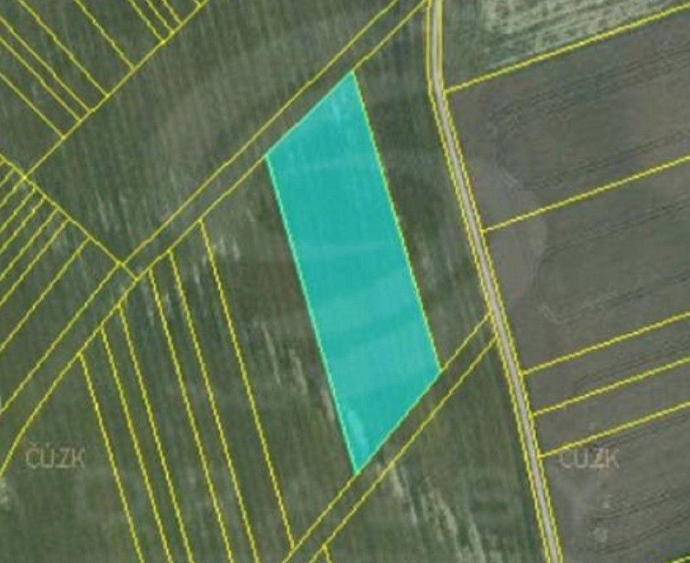 Prodej zemědělský pozemek - Čechyně, Rousínov, 9 999 m²