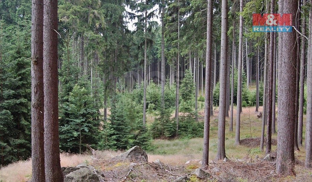 Lesy, Zruč nad Sázavou, 285 22, 3 416 m²