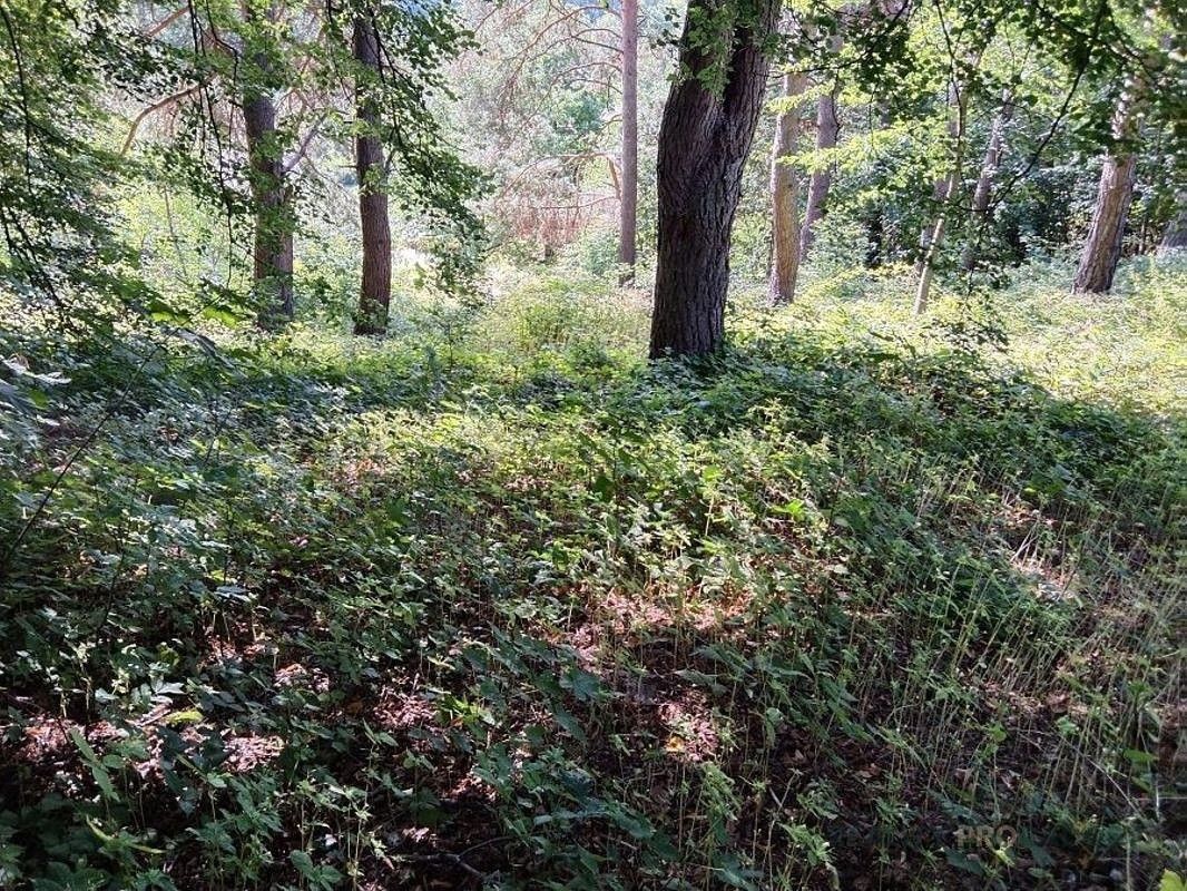 Lesy, Šternberk, 785 01, 950 m²