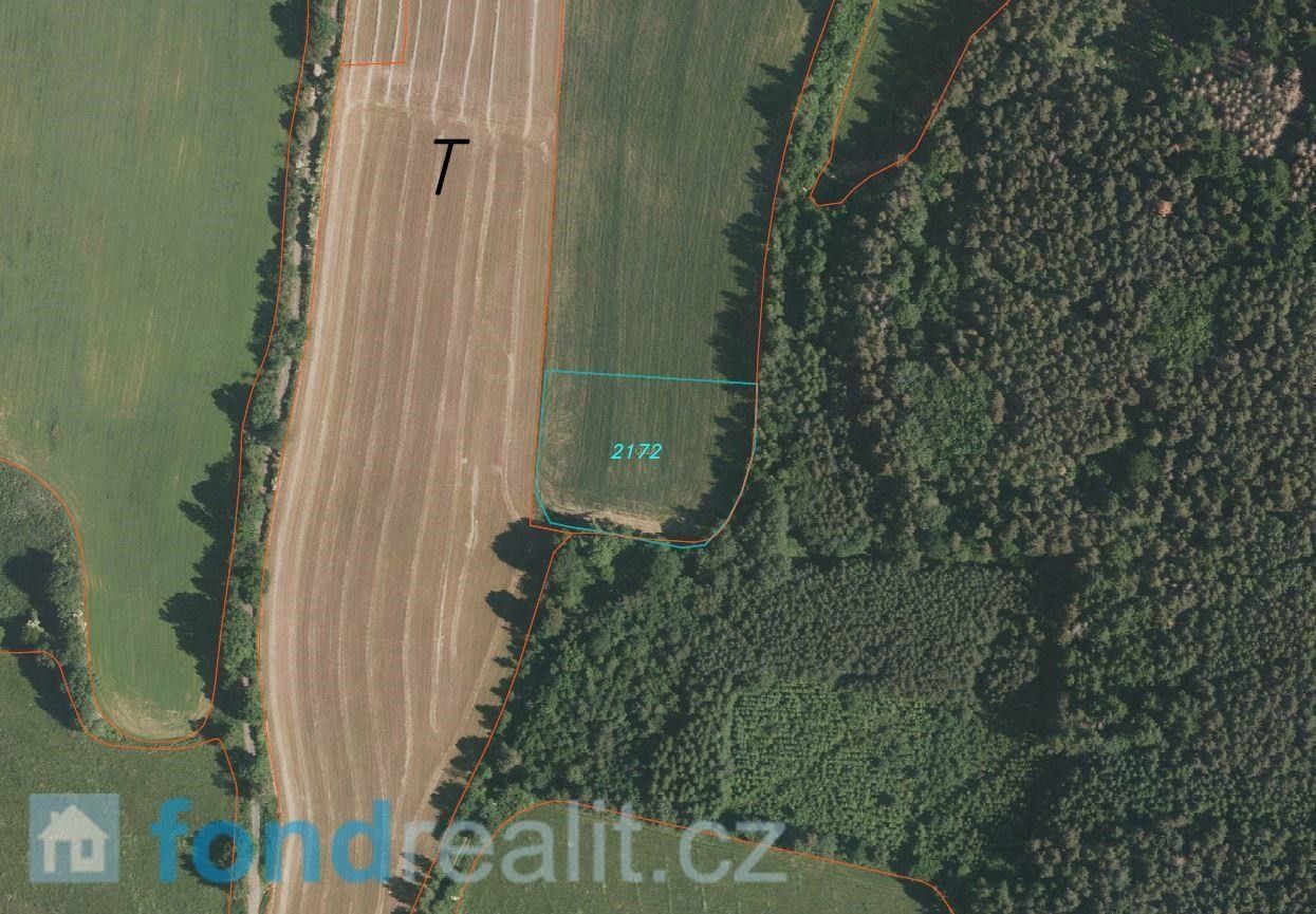 Prodej zemědělský pozemek - Mičovice, 4 567 m²