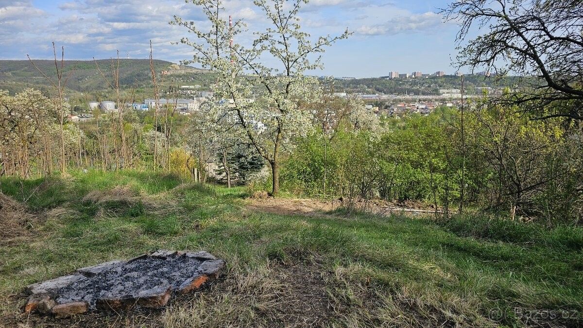 Pronájem zahrada - Brno, 638 00, 300 m²