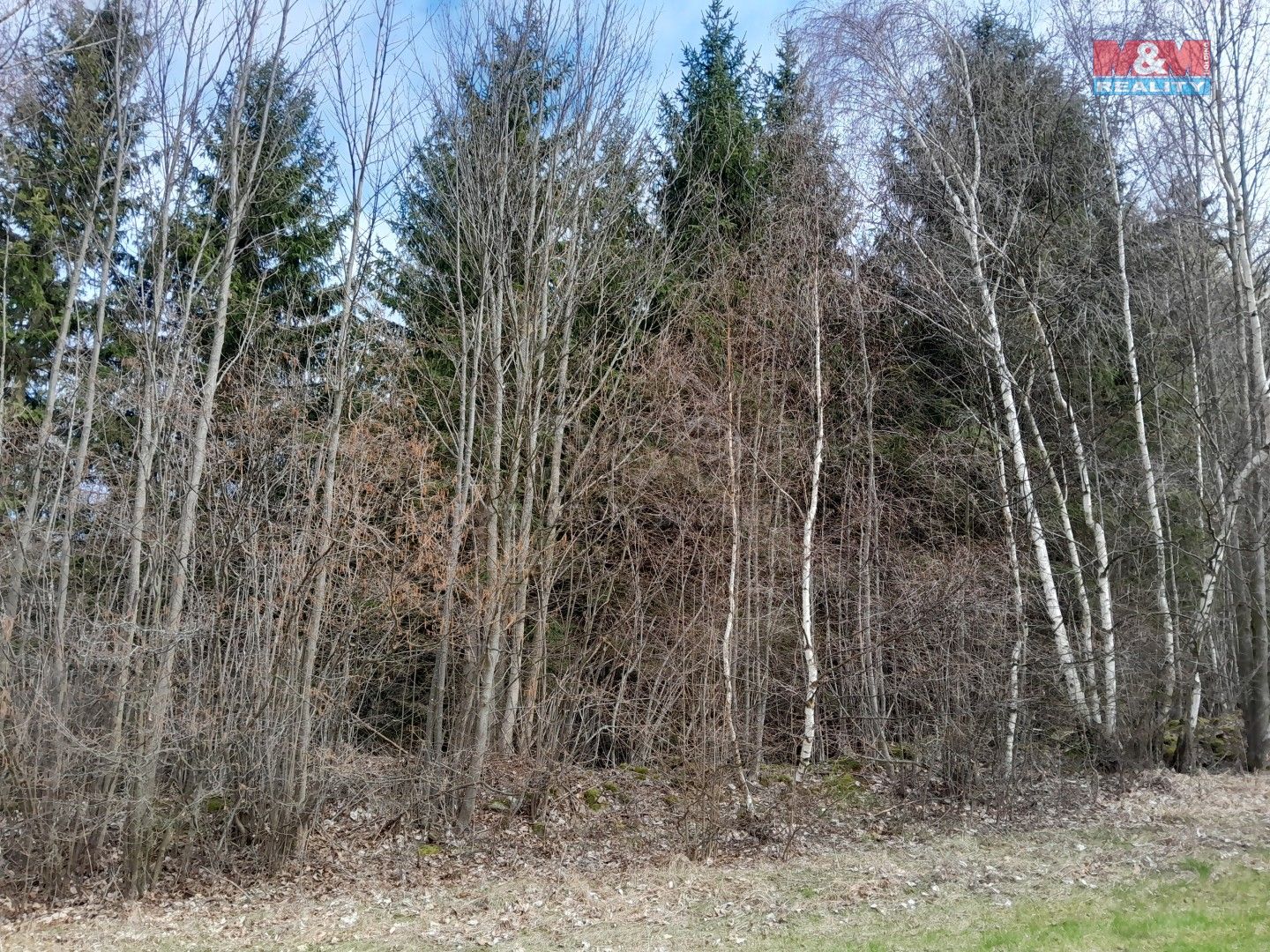 Prodej les - Setěchovice, Zálezly, 3 000 m²