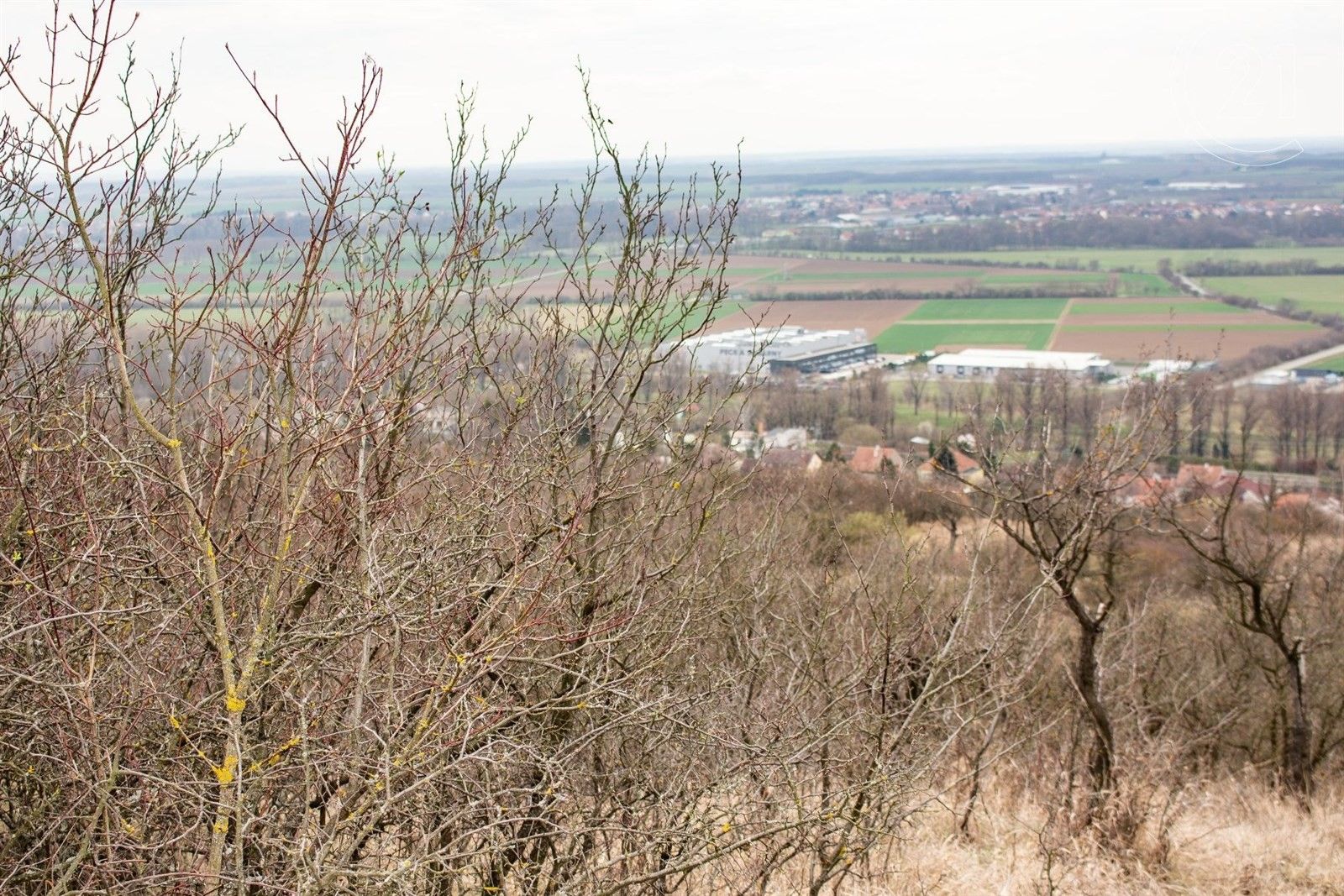 Zemědělské pozemky, Židlochovice, 4 860 m²