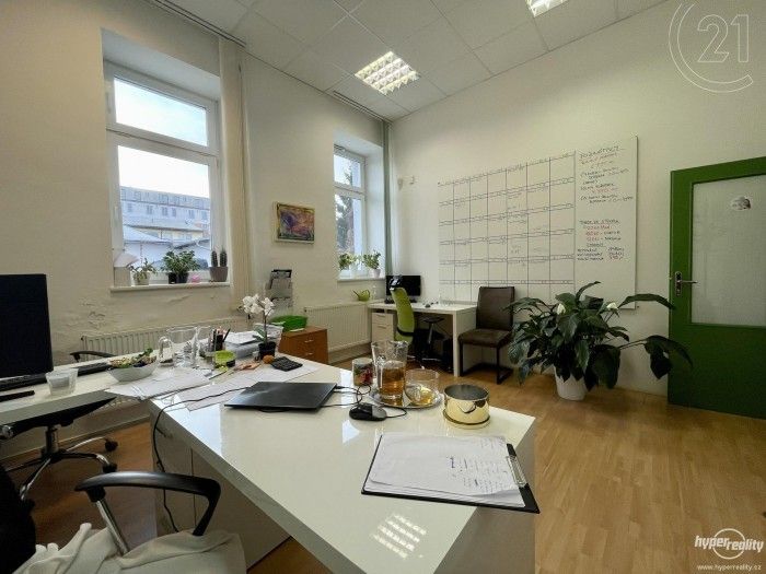 Pronájem kancelář - Netušilova, Brno, Husovice, 17 m²