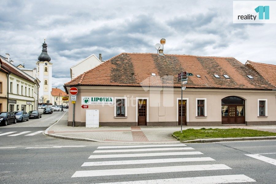 Prodej obchodní prostory - Lipová, Dobřany, 355 m²