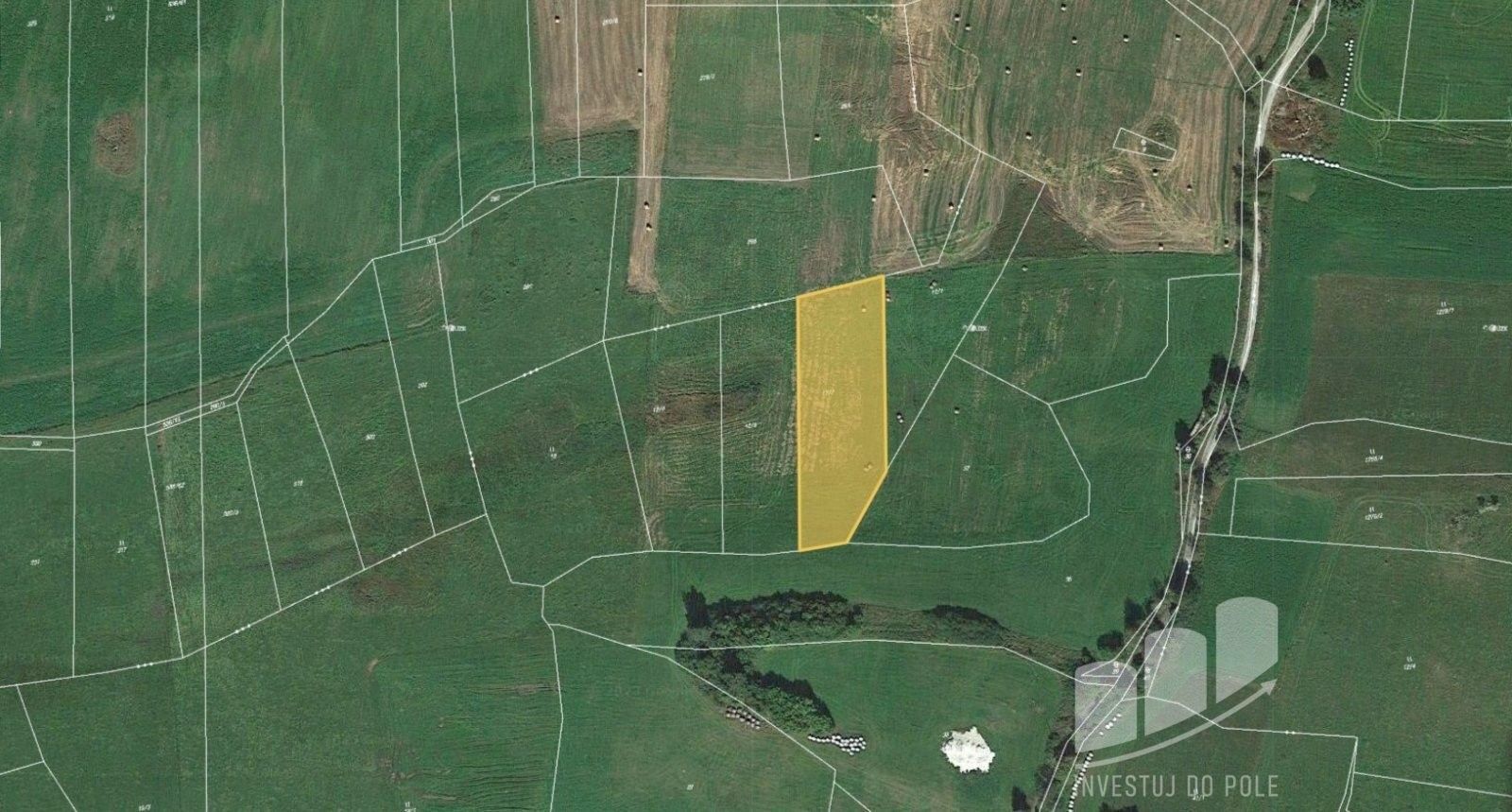Zemědělské pozemky, Damětice, Frymburk, 3 053 m²