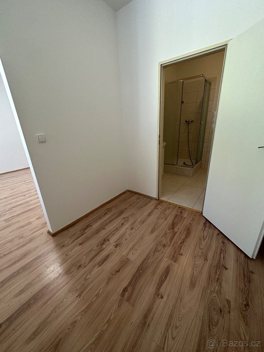 Pronájem byt 1+kk - Brno, 614 00, 31 m²