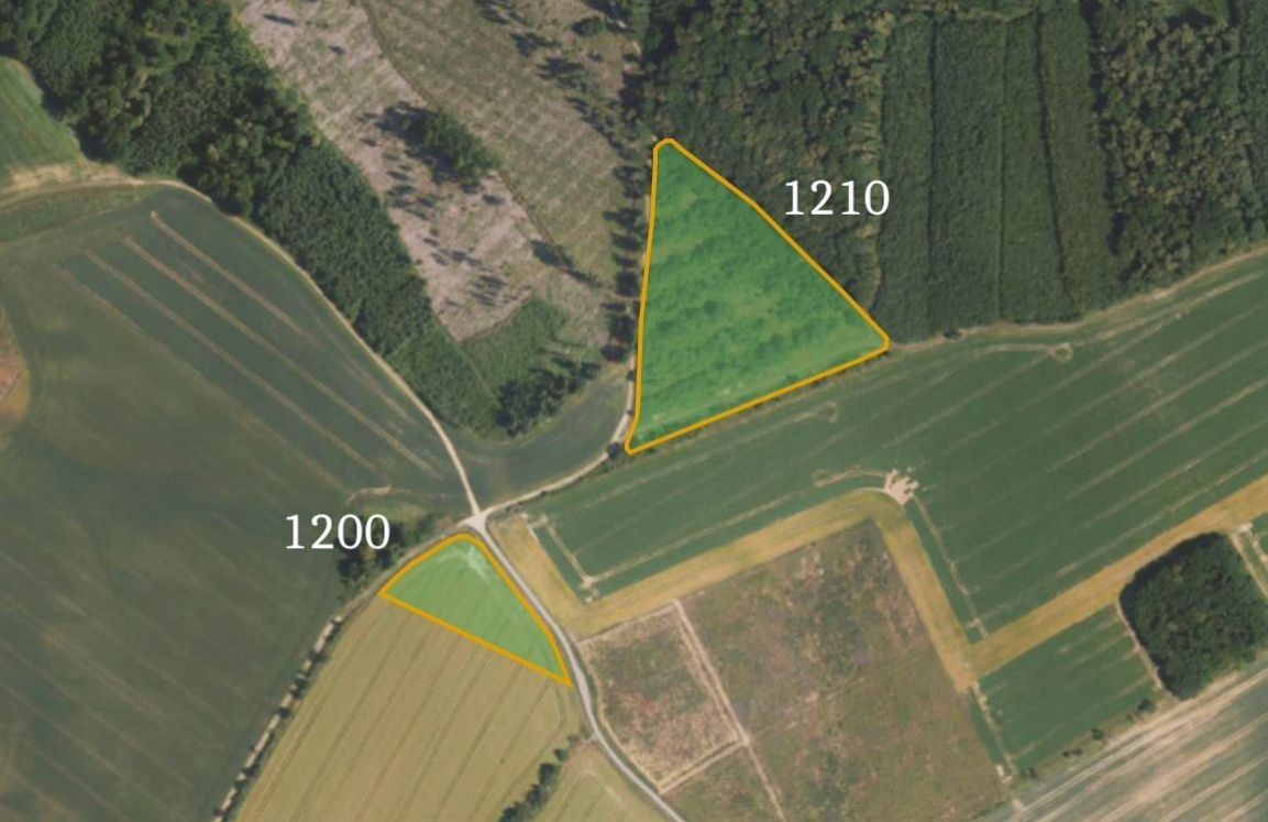 Prodej zemědělský pozemek - Vitčice, 3 273 m²