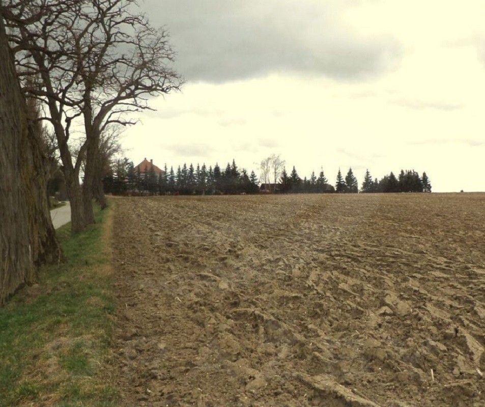 Zemědělské pozemky, Cehnice, 9 229 m²
