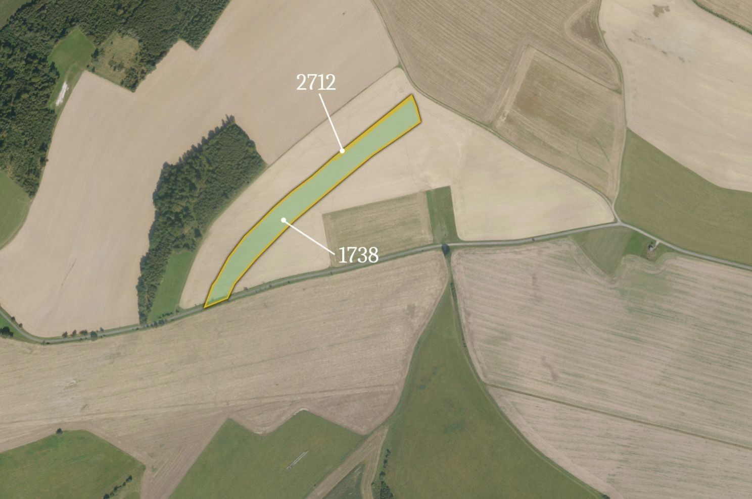Prodej zemědělský pozemek - Jindřichov, 12 092 m²