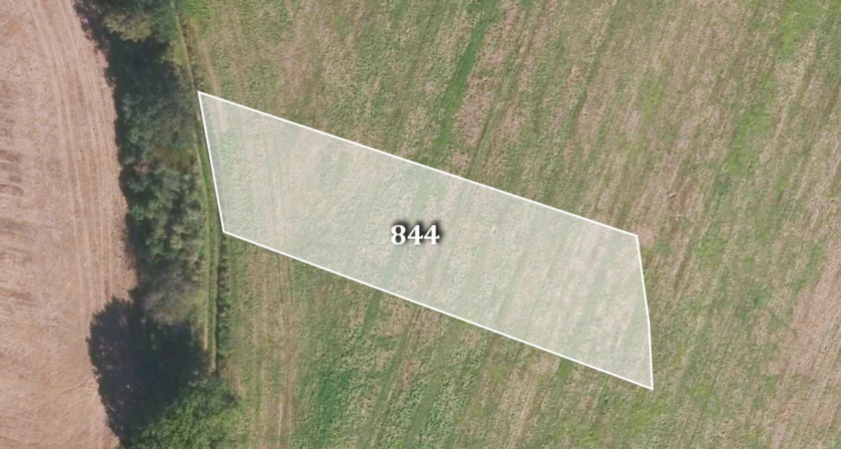 Prodej zemědělský pozemek - Mohelnice, 5 679 m²