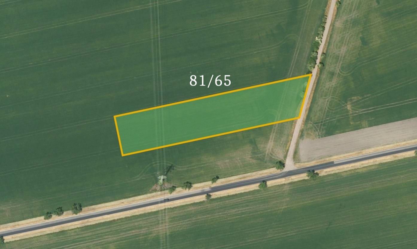 Prodej zemědělský pozemek - Dobšice, 1 232 m²