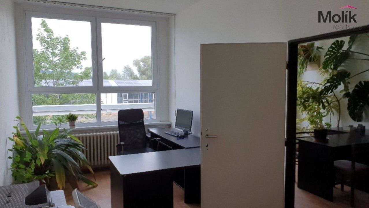 Pronájem kancelář - Malé Březno, 120 m²