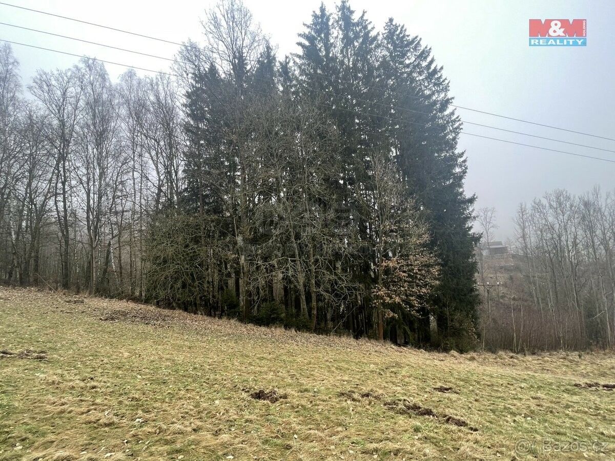 Lesy, Košťálov, 512 02, 33 054 m²