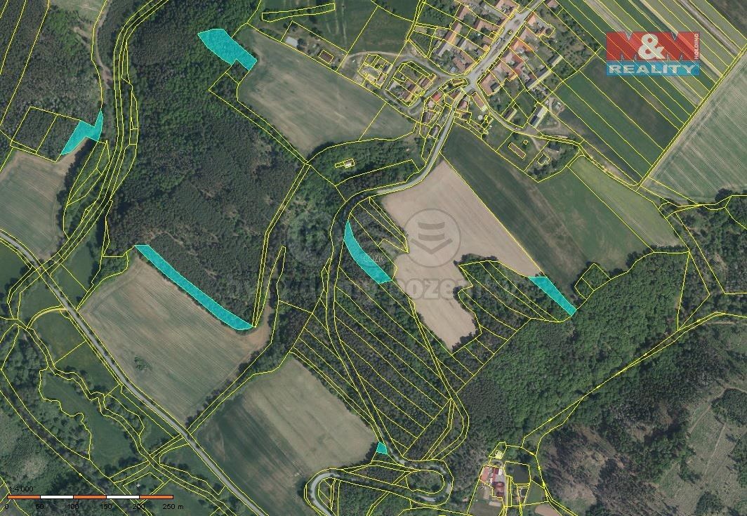 Lesy, Náměšť nad Oslavou, 675 71, 19 546 m²