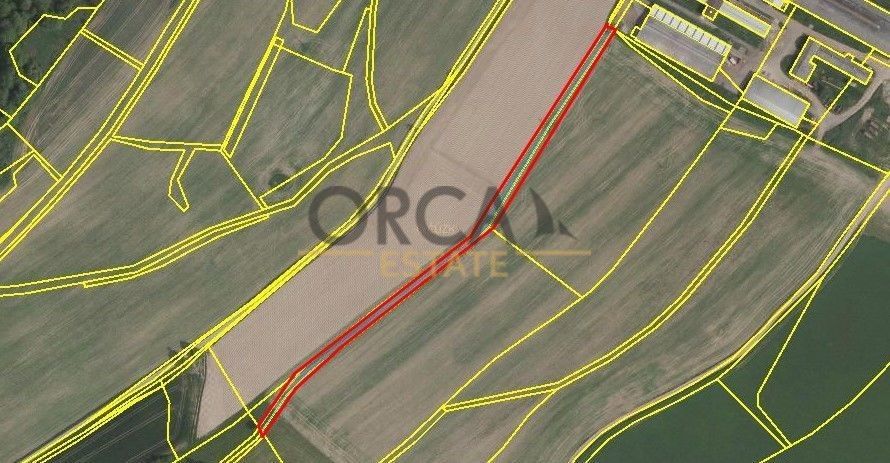 Prodej pozemek - Borová u Poličky, 569 82, 737 m²