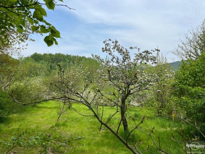 Prodej pozemek pro bydlení - Oldřichov v Hájích, 1 785 m²