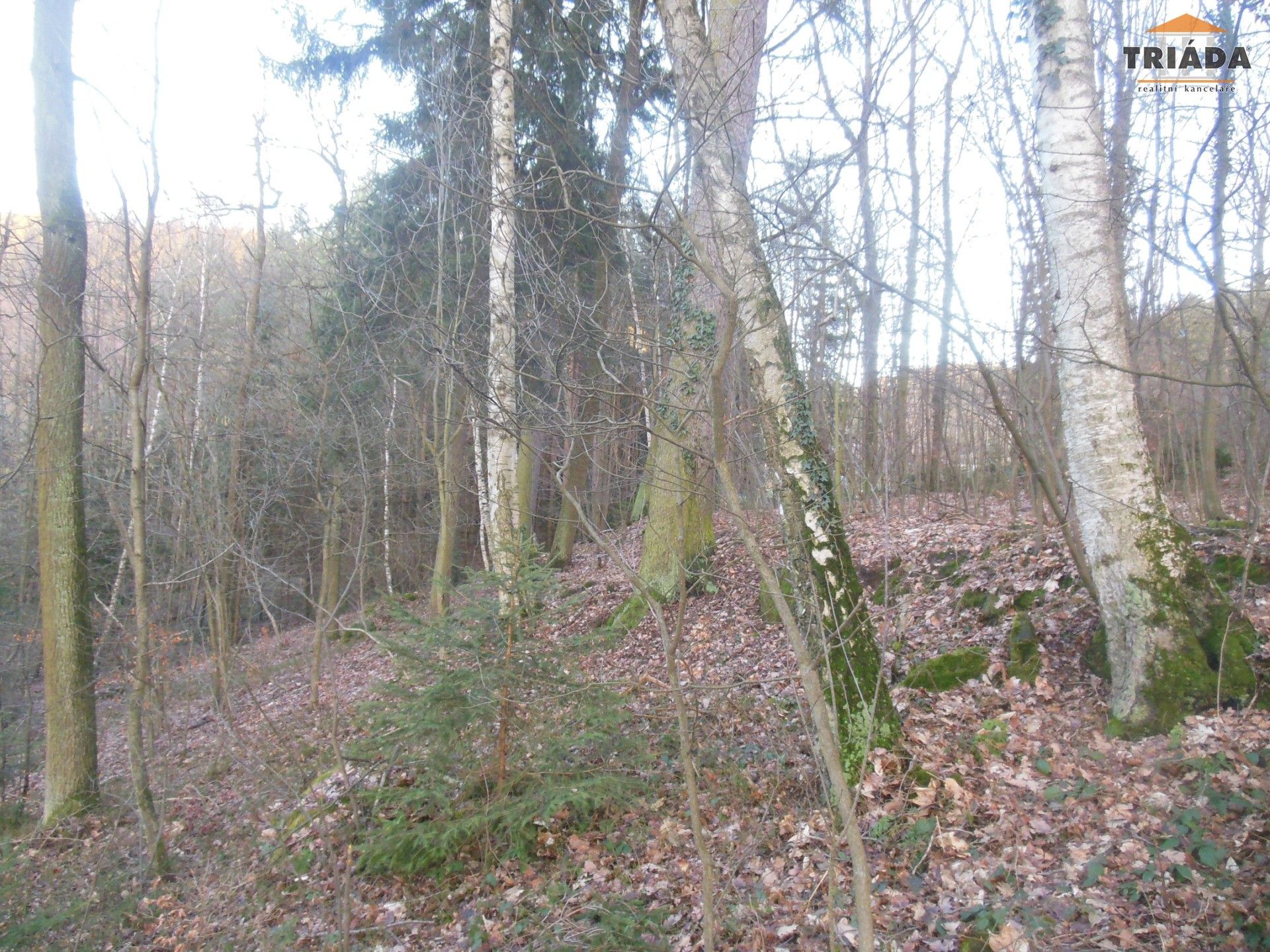 Lesy, Turnov, 5 193 m²