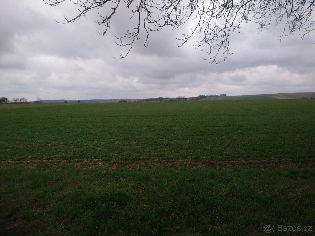 Zemědělské pozemky, Kaznějov, 331 51, 42 000 m²