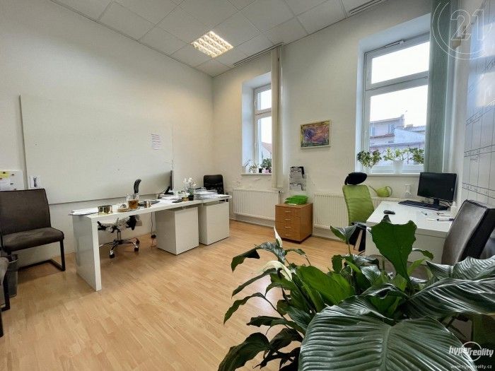 Kanceláře, Netušilova, Brno, Husovice, 17 m²