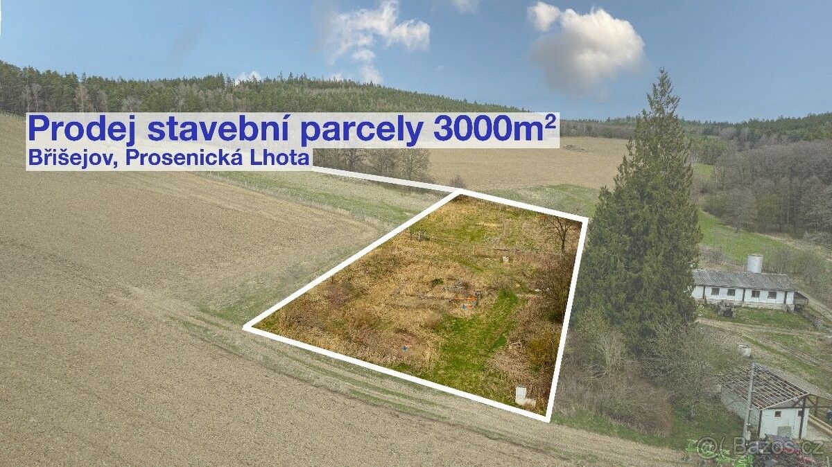 Prodej pozemek pro bydlení - Sedlčany, 264 01, 3 000 m²