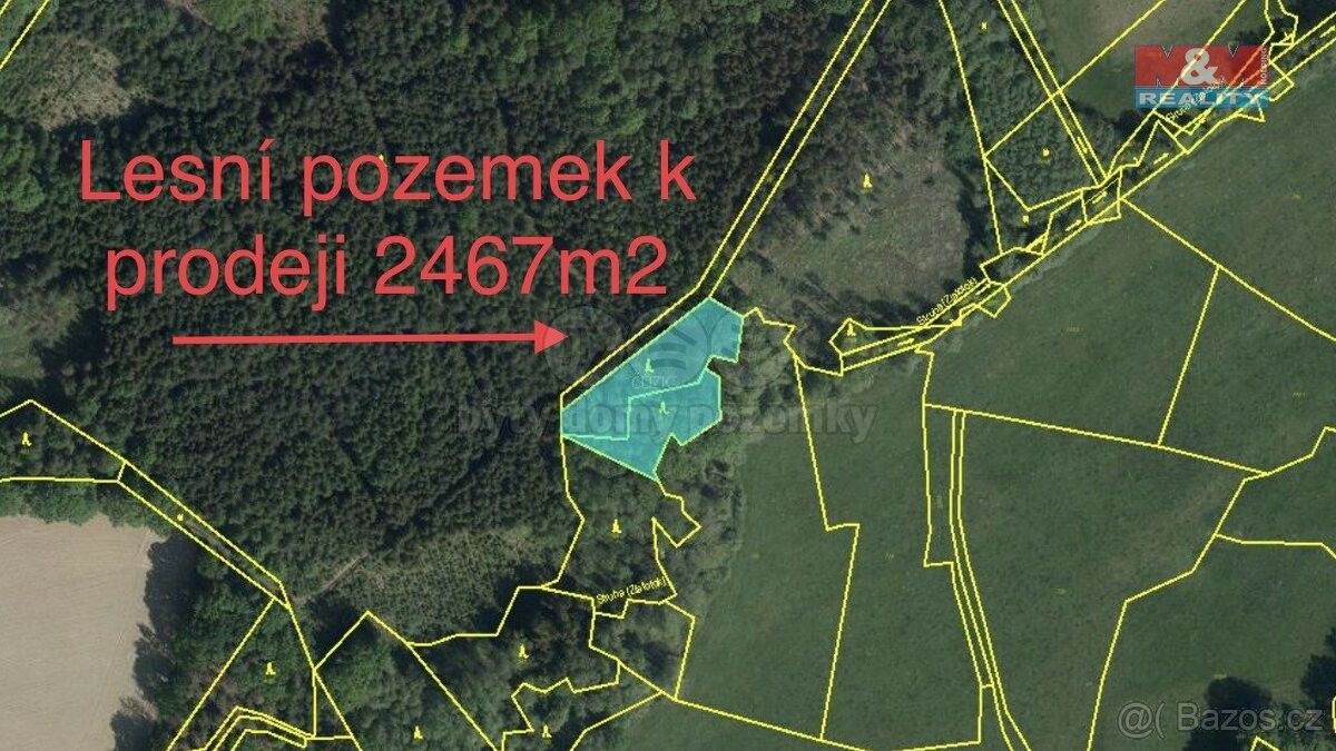 Prodej les - Přelouč, 535 01, 2 467 m²