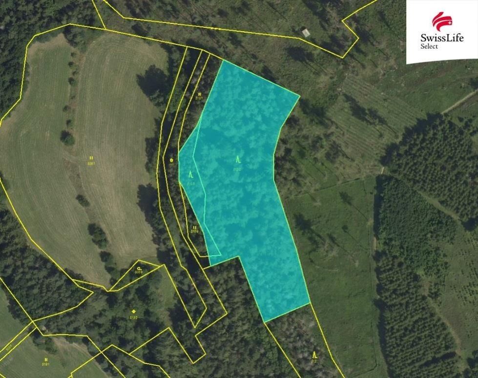 Prodej les - Kunštát na Moravě, 679 72, 8 046 m²