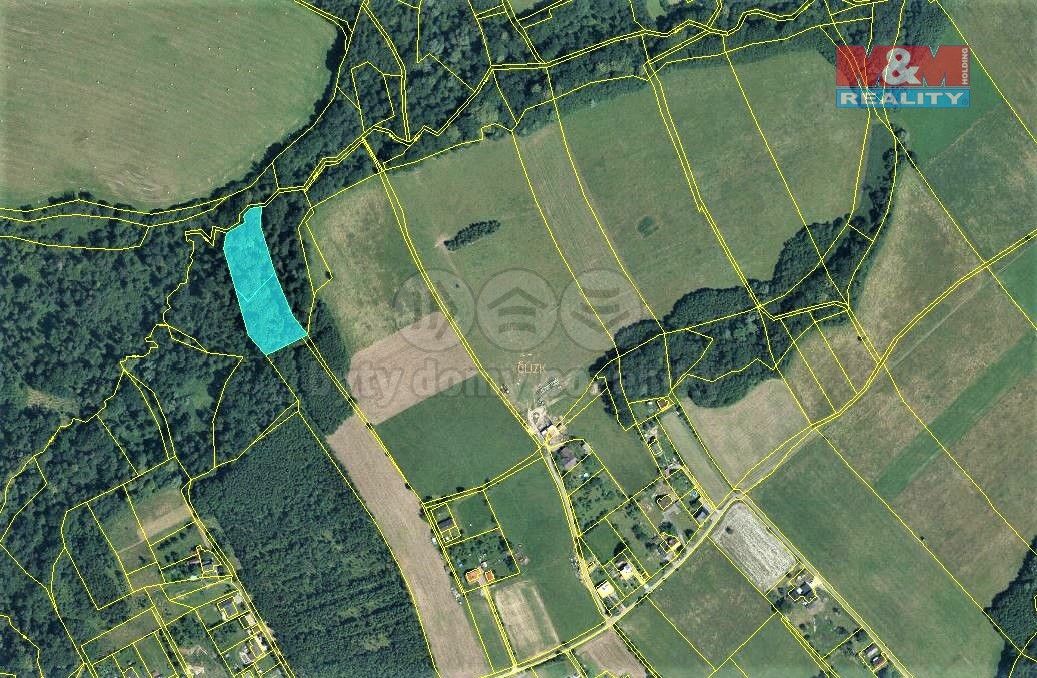 Prodej les - Český Těšín, 735 62, 6 540 m²