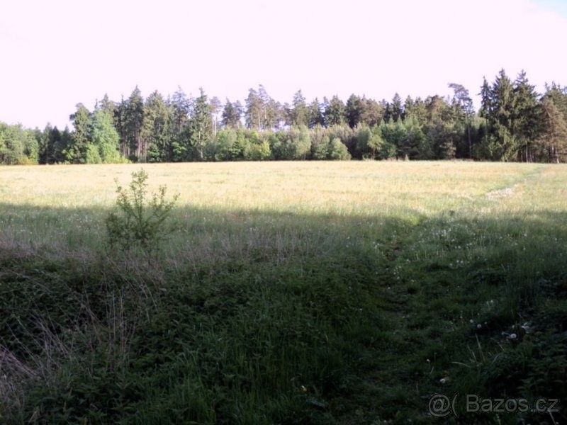Pronájem zemědělský pozemek - Beroun, 266 01, 6 300 m²