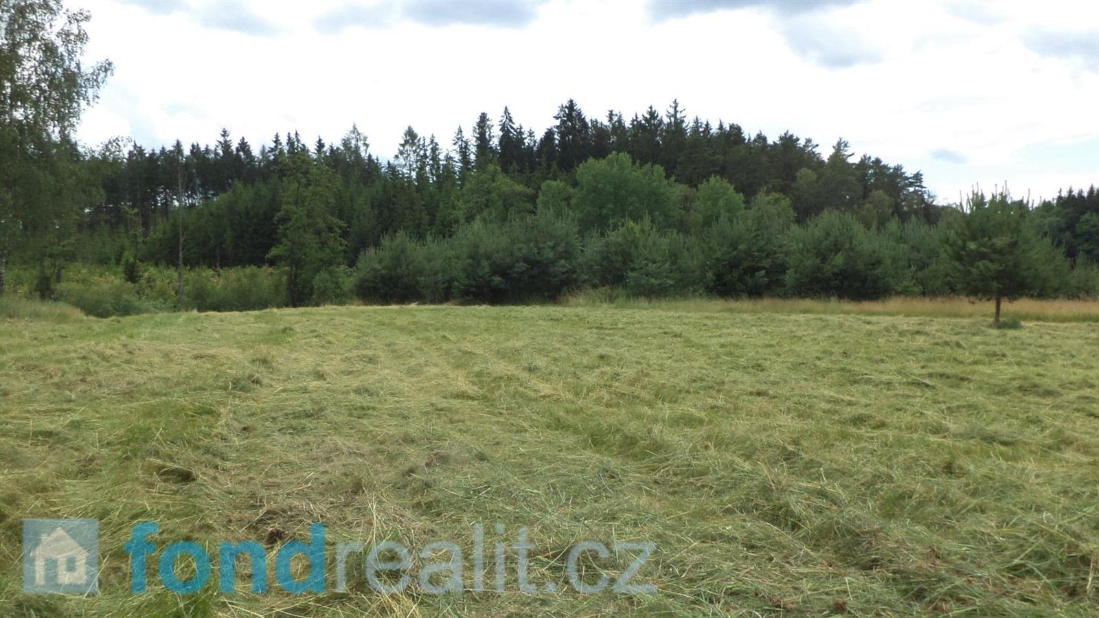Prodej zemědělský pozemek - Chotěmice, 3 040 m²