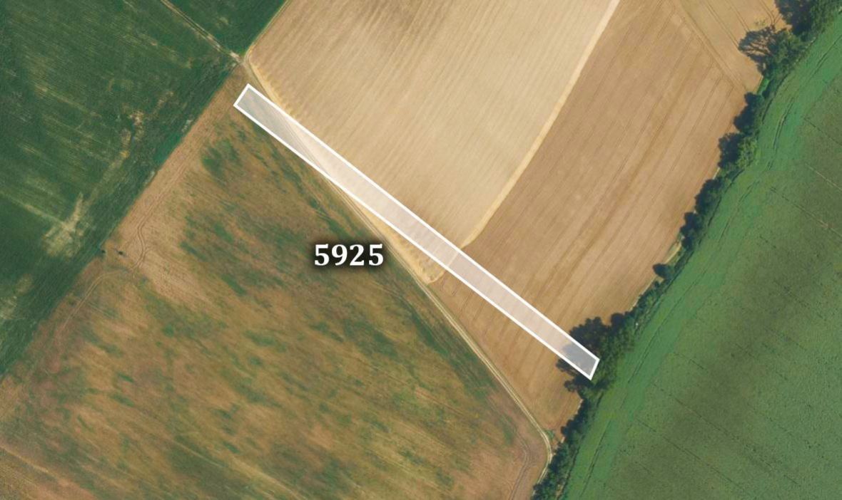 Zemědělské pozemky, Lovčice, 6 955 m²