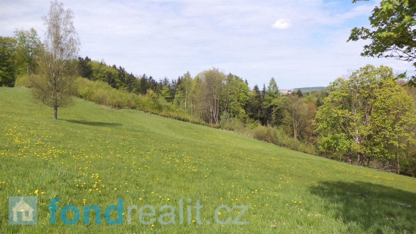 Prodej pozemek - Horní Heřmanice, 881 m²