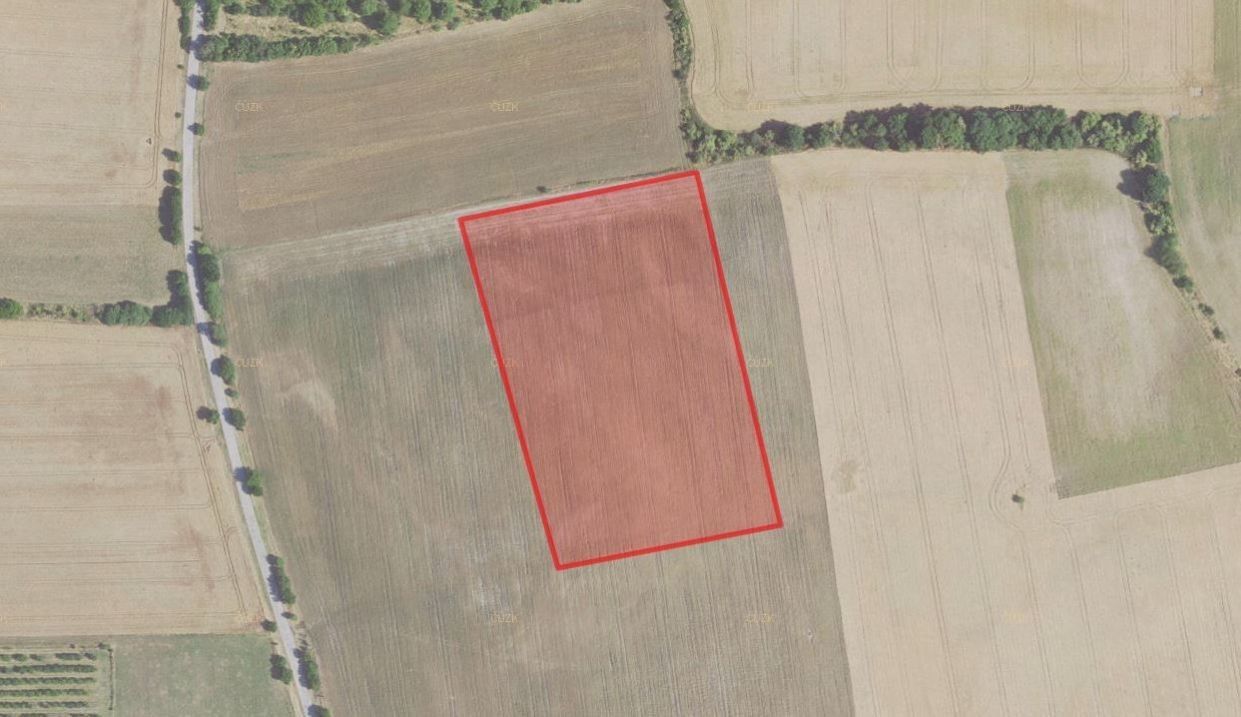 Zemědělské pozemky, Zvoleněves, 7 077 m²